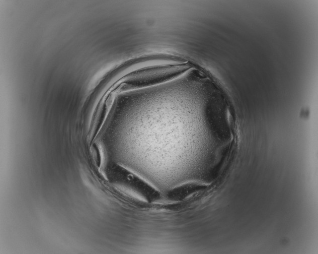 X0000110960583200907022223