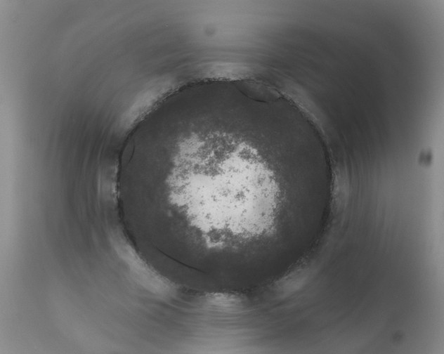 X0000110960585200907022223