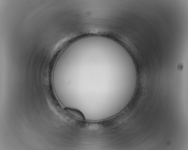 X0000110960587200907022223