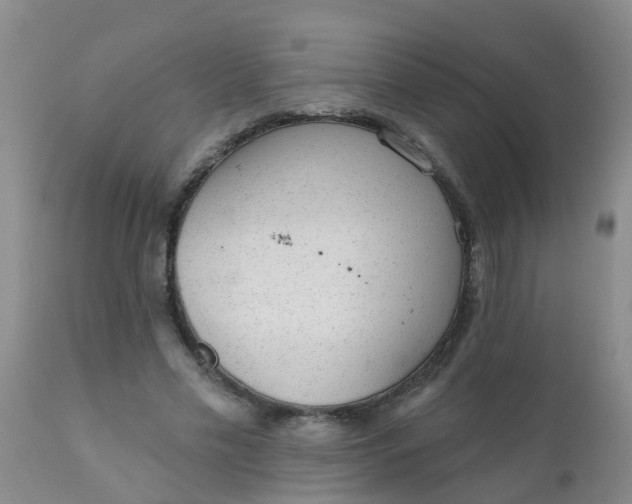 X0000110960589200907022223