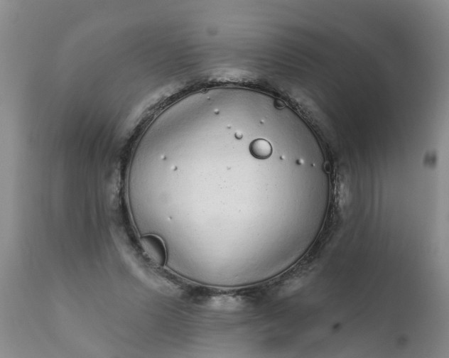 X0000110960591200907022223