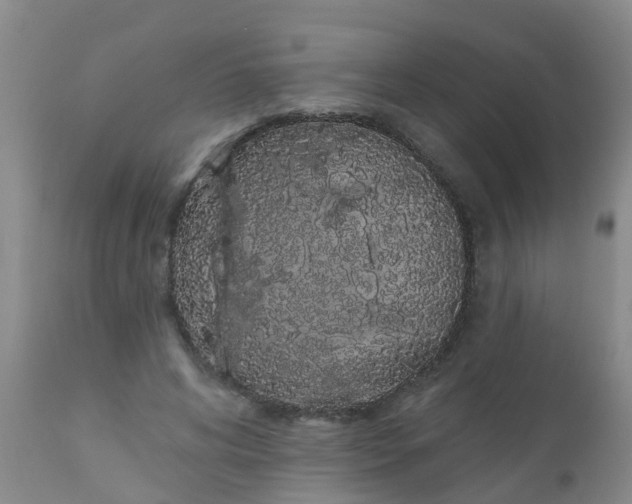 X0000110960592200907022223