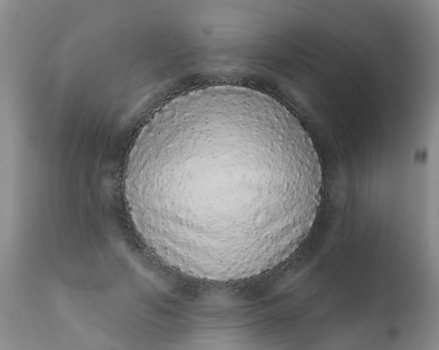 X0000110960594200907022222