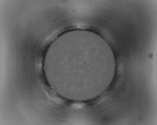 X0000110960595200907022222