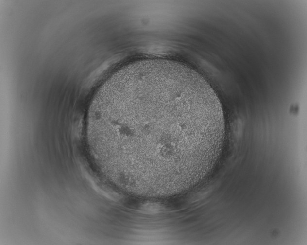 X0000110960596200907022222