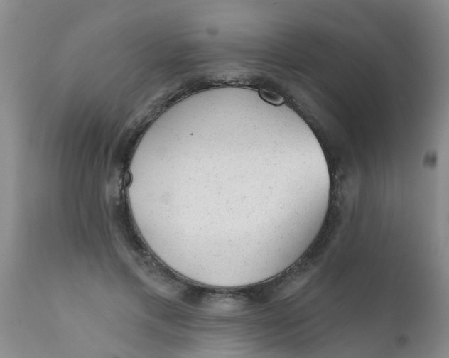 X0000110960597200907022222