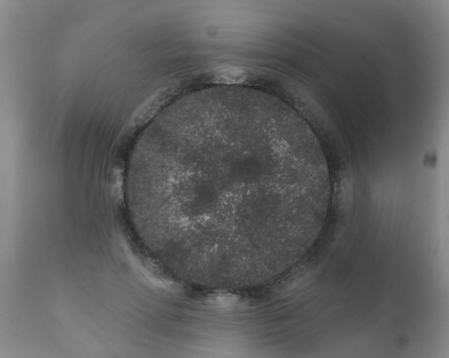 X0000110960598200907022222