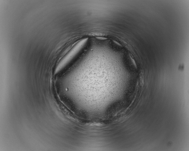 X0000110960599200907022222