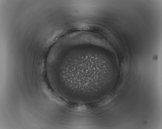 X0000110960600200907022222