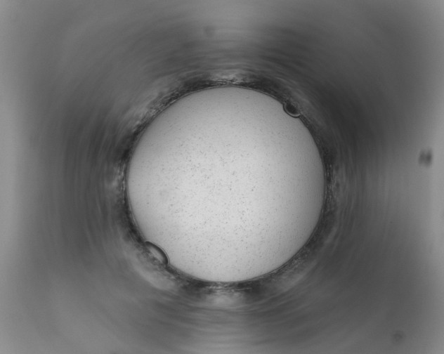 X0000110960601200907022222