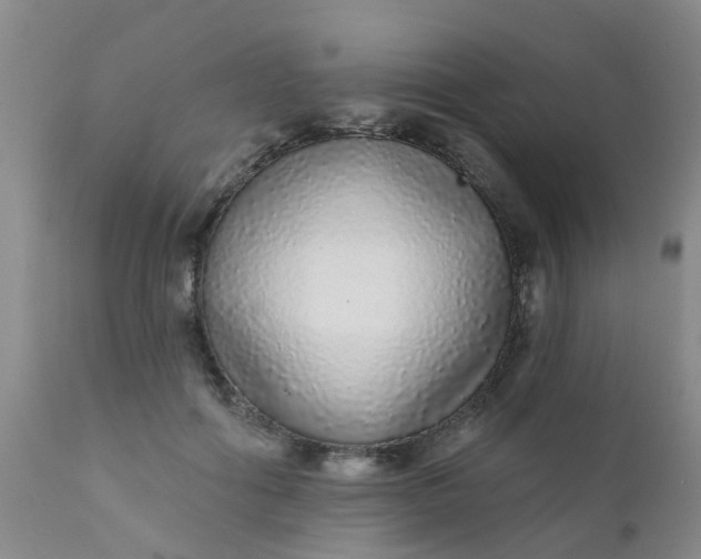 X0000110960602200907022222