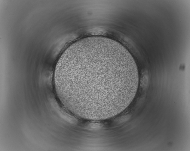 X0000110960604200907022222