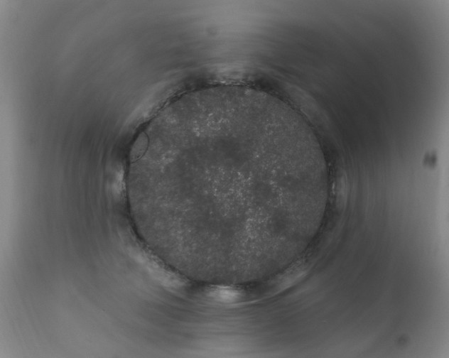 X0000110960610200907022222