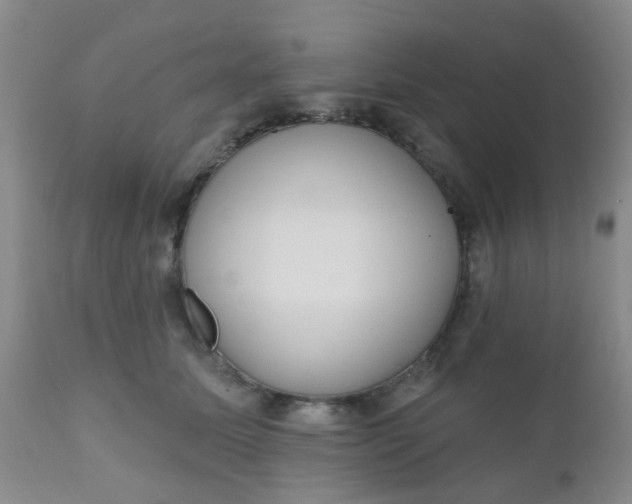 X0000110960611200907022222