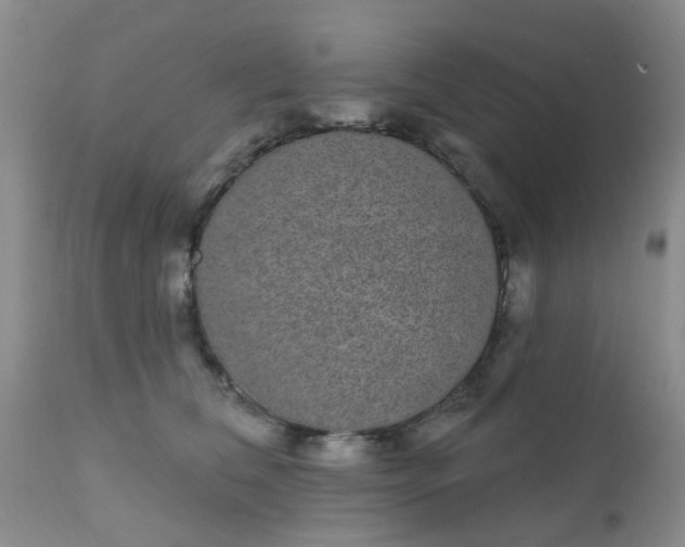 X0000110960612200907022222