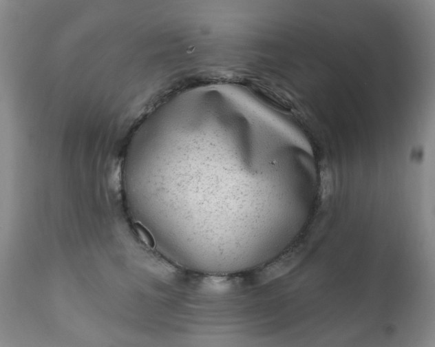 X0000110960613200907022222