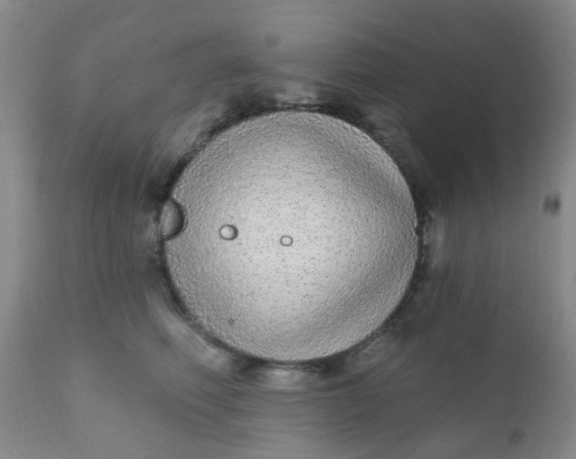 X0000110960614200907022222