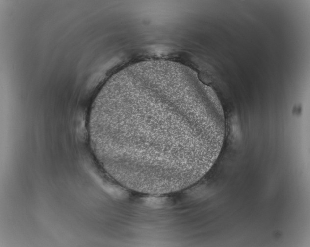 X0000110960615200907022222