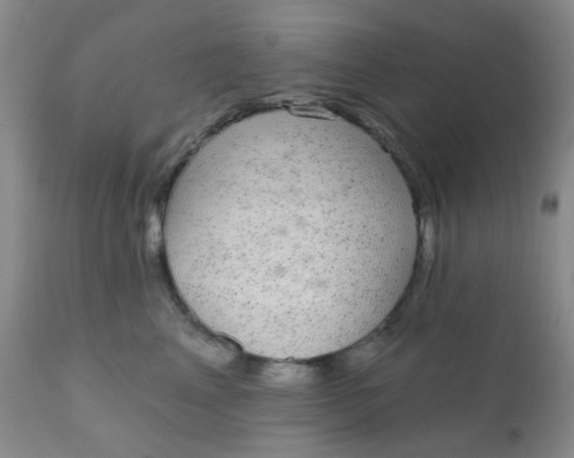 X0000110960617200907022222