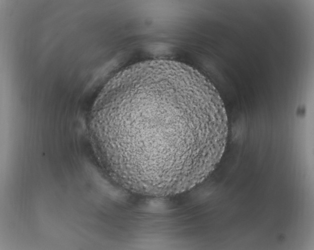 X0000110960618200907022222