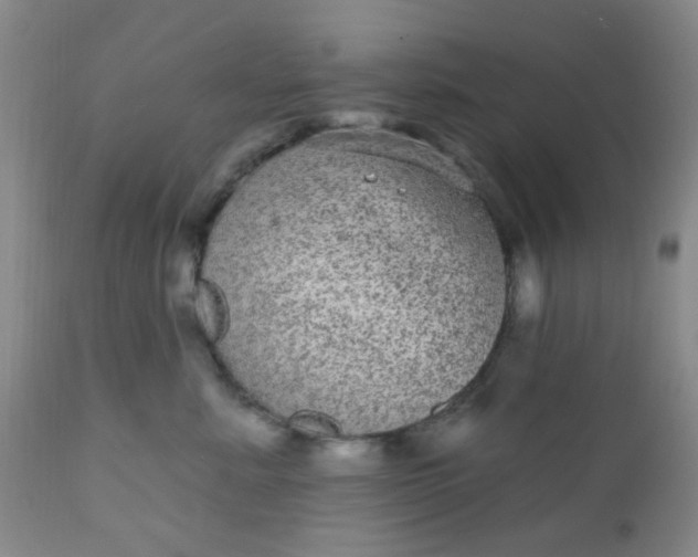 X0000110960619200907022222