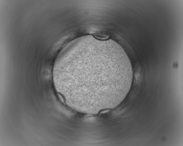 X0000110960620200907022222