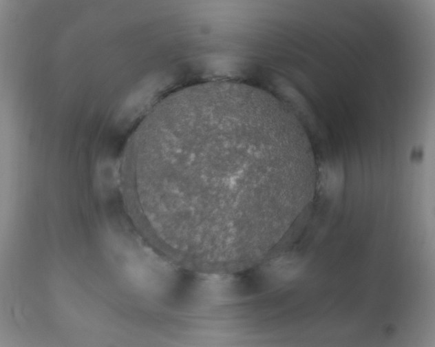 X0000110960621200907022222