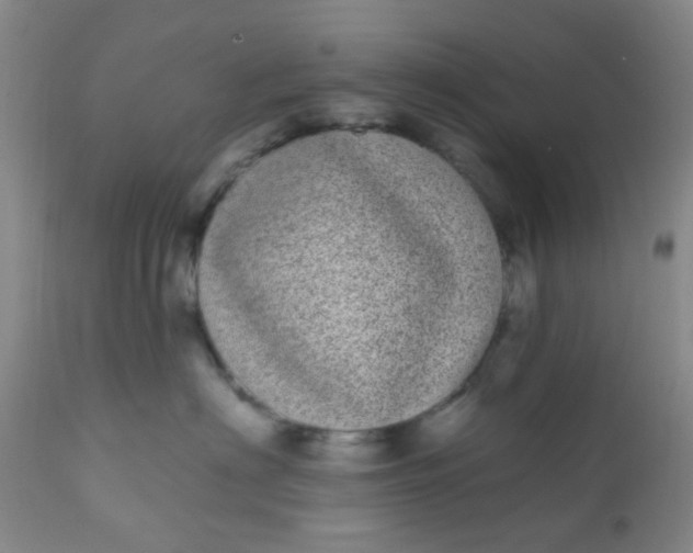 X0000110960622200907022222