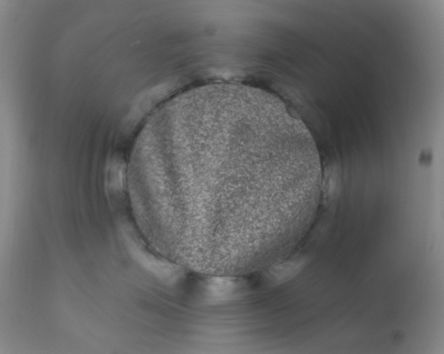 X0000110960623200907022222