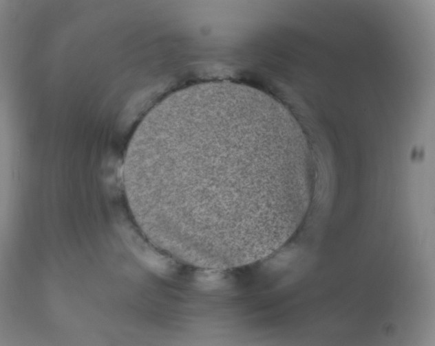 X0000110960624200907022222