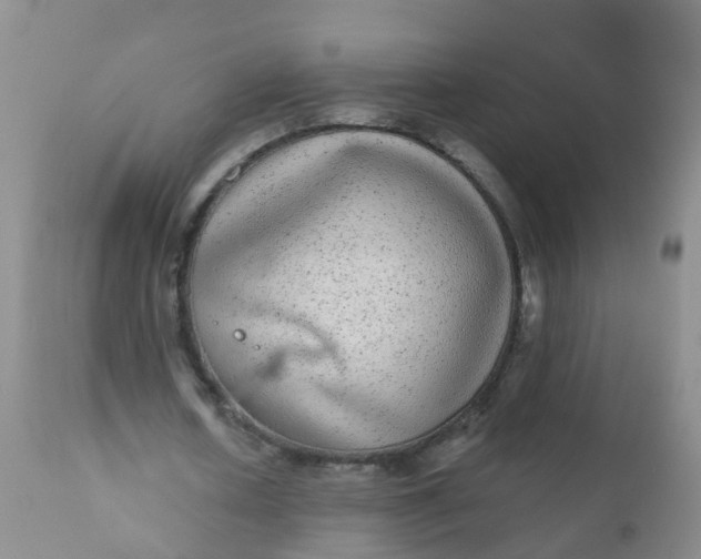 X0000110960626200907022221