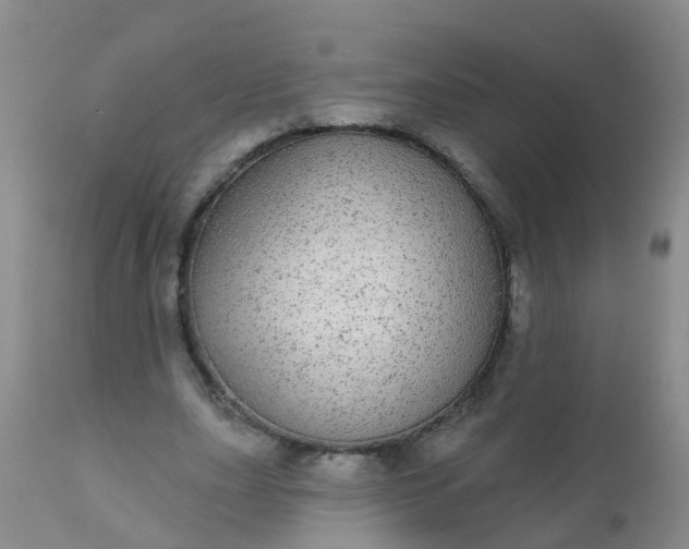 X0000110960631200907022221