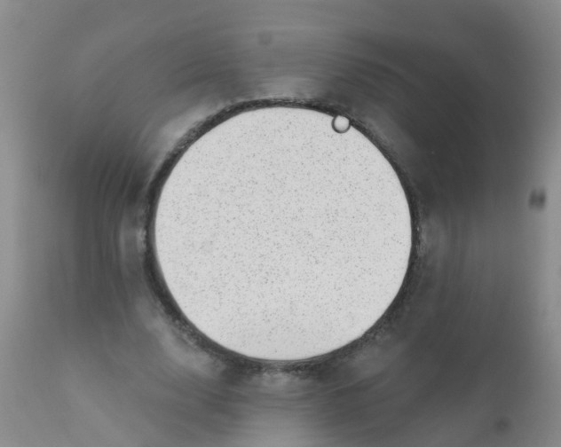 X0000110960632200907022221