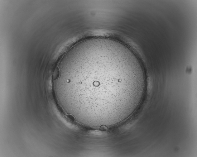 X0000110960633200907022222