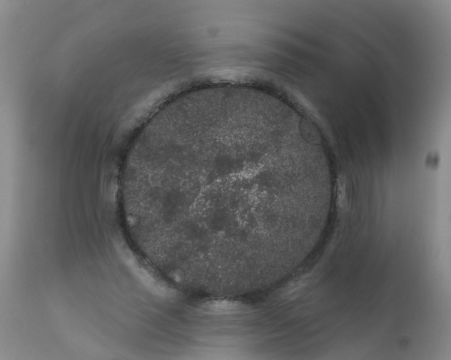 X0000110960637200907022222