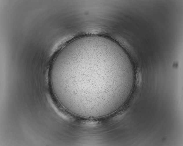 X0000110960638200907022222