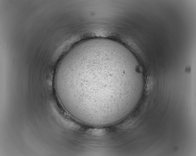 X0000110960639200907022222