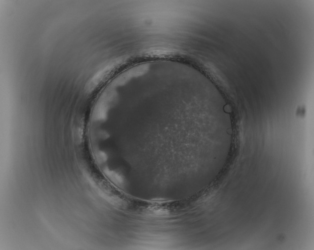 X0000110960640200907022222