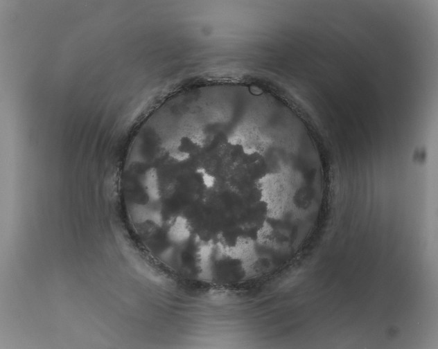 X0000110960641200907022222