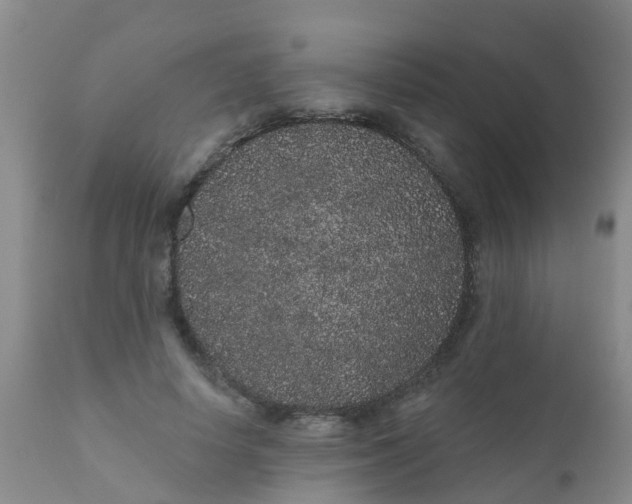 X0000110960642200907022222