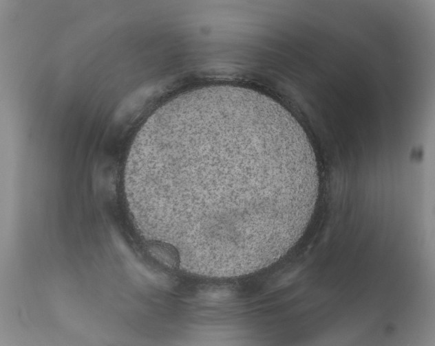 X0000110960643200907022222