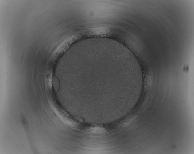 X0000110960644200907022222