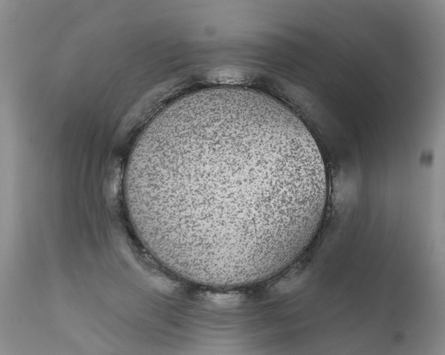 X0000110960645200907022222