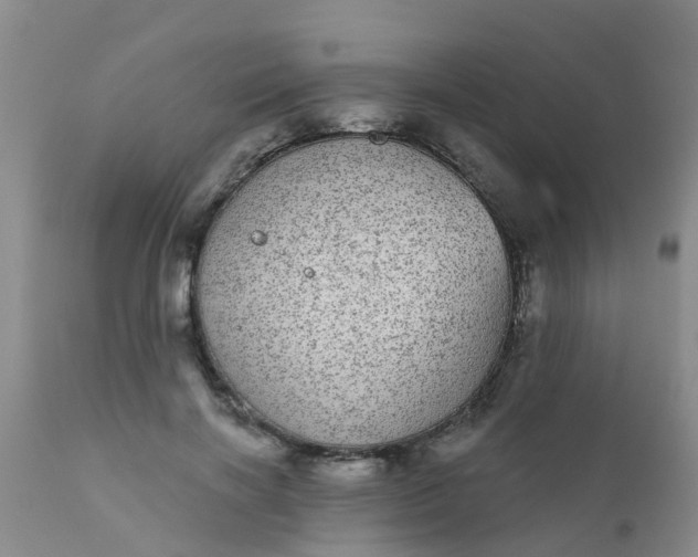 X0000110960646200907022222