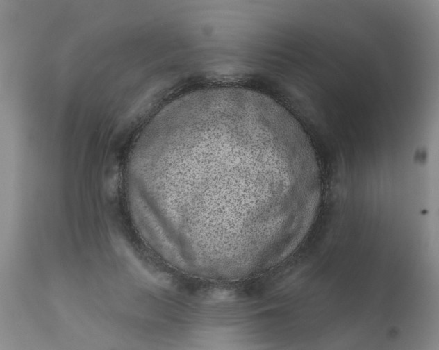 X0000110960647200907022222