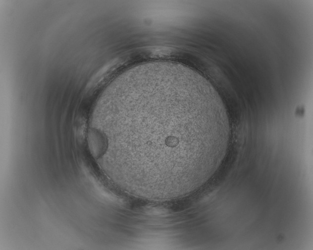 X0000110960648200907022222