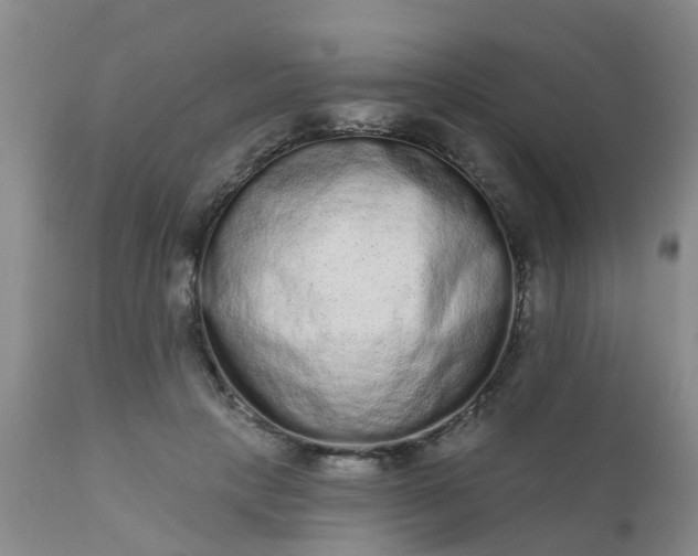 X0000110960649200907022222