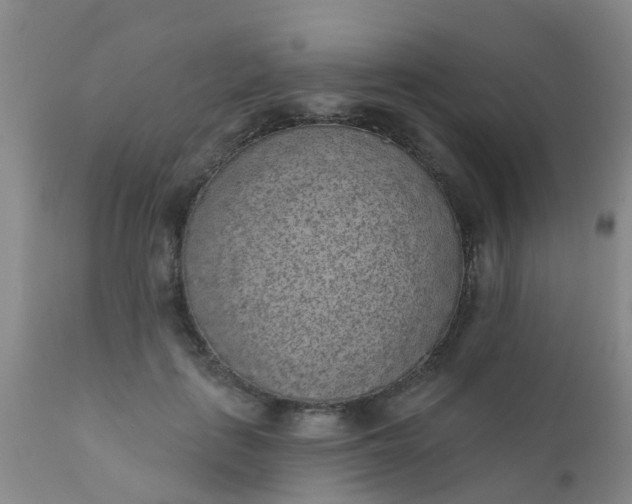 X0000110960651200907022222