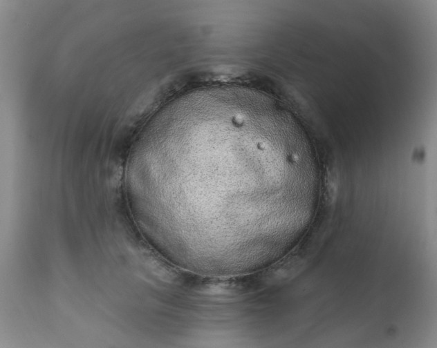 X0000110960657200907022222