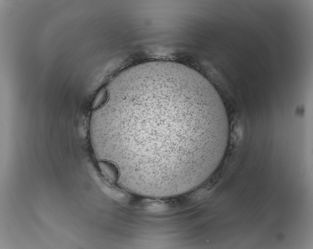 X0000110960658200907022222